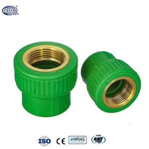 Socket Pipe Fittings With Brass Insert