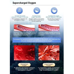 Buy cheap Hyperbaric Oxygen Chamber 1.3ATAT 1.5ATAT 2.0 ATAT from wholesalers