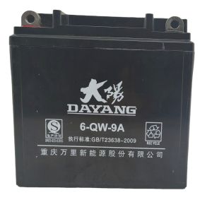 China DAYANG Black 12V 9Ah Tricycle Battery for Smooth and Stable Performance in Any Terrain on sale