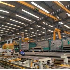 Jib Tower Crane 12 Ton Mobile Mini Lifting Machinery