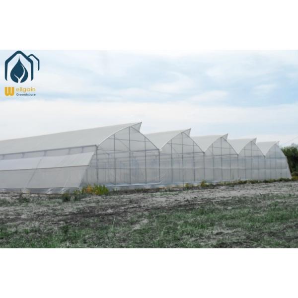 Buy cheap Modern Agricultural Tropical Multi Span Greenhouse Easy Setup Low Maintenance from wholesalers