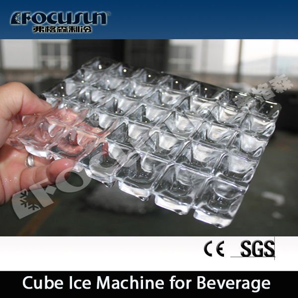 Bitzer Compressor Focusun 15T Containerized Block Ice Machine with Automatic Control System