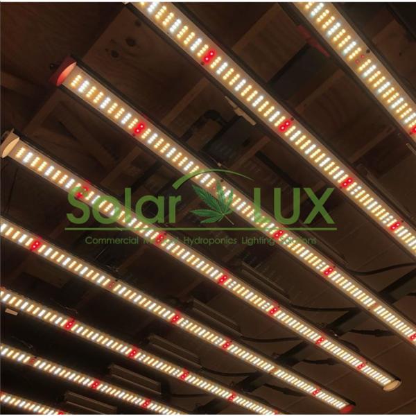Quality Led Plant Light Cover 2000w Full Spectrum LED Grow Light for sale