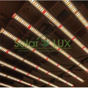 Buy cheap Led Plant Light Cover 2000w Full Spectrum LED Grow Light from wholesalers