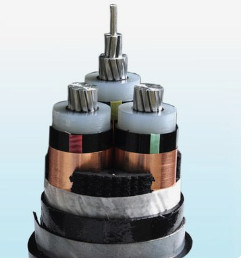 Insulated Cu XLPE SWA PVC Cable , 2 Core Armoured Cable 400mm2 Cross Section