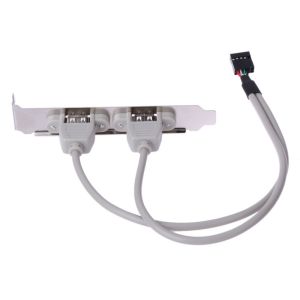 2 USB 2.0 Panel Female Connectors to 10 Pin 2.0mm , 35cm(12 inchs) length