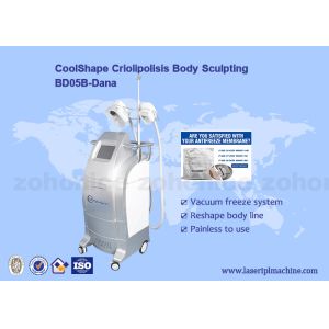 Buy cheap Non - invasive Criolipolisis Slimming Machine cryotherapy fat removing machine from wholesalers