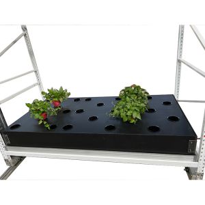 Buy cheap PP 4ft*16ft Vegetable Planting Rack Customized Aeroponics Growing Systems from wholesalers