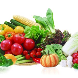 Buy cheap Electric Fruit Vegetable Processing Machine Kitchen OEM ODM  1.75L from wholesalers