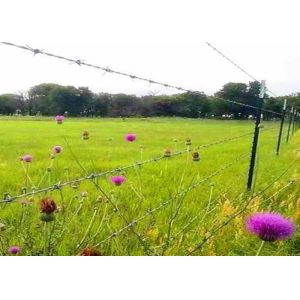 Buy cheap 250m 500m Galvanized Barbed Wire Hot Dipped Zinc Coated Barbed Wire from wholesalers