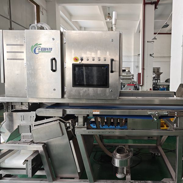 Buy cheap Accurate 3.6 * 1.9 * 2.2 White Tea Sorting Equipment For Precise Recognition And Fast Sorting from wholesalers