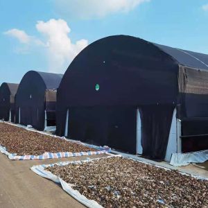 Buy cheap Tunnel Polyethylene Foil Greenhouse For Mushroom Low Transmission Black And White from wholesalers