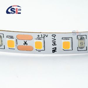 DC12V 24V SMD2835 Electroplate PCB 240Ds 8mm Ra 80 3000K LED Light Strip for