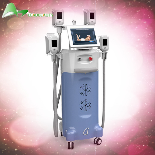 Quality 12 inch touch screen cryolipolysis cold body sculpting machine for sale