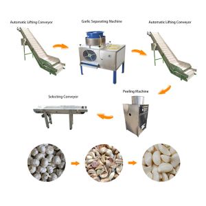 Buy cheap fully automatic garlic peeling machine garlic peeler processing production line from wholesalers
