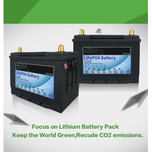 Buy cheap 200Ah 12 Volt RV Lithium Battery from wholesalers