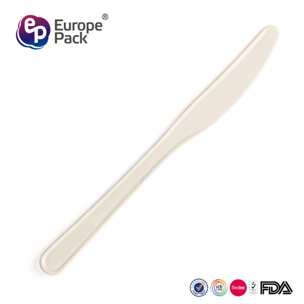 Quality 2019 new arrival high quality disposable biodegradable cake knife for sale