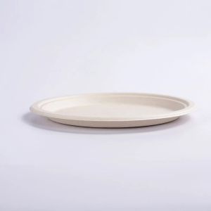 Buy cheap 100 Compostable Oval Fruit Food Paper Bagasse Sugarcane Biodegradable Plates from wholesalers