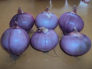 Buy cheap New Crop Red Onion Fresh Red Onion Organic Onion 2016 China Onion product