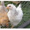 Buy cheap Hexagonal net breeding circle chicken bird fence net cage net flower art modeling from wholesalers