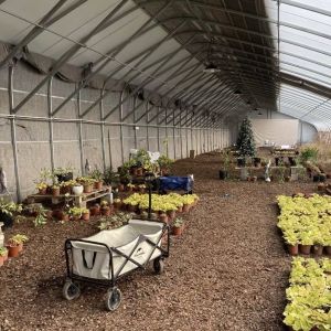 Buy cheap Steel Structure Flower Planting Drip Irrigation System with 30-Day Return Refunds from wholesalers