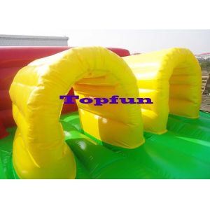 Customized Inflatable Water Parks Obstacle / Inflatable Water Slide With Pool