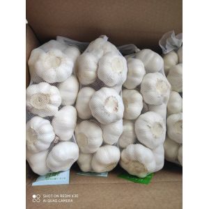 China Natural China Fresh garlic  Pure White  normal white garlic on sale