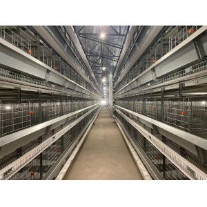 Buy cheap Eco - Friendly Poultry Cage Construction Smooth Surface Long Life Span from wholesalers