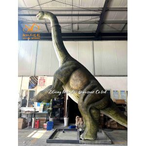 Buy cheap  Realistic Long Neck Brachiosaurus Dinosaur Model For Jurassic Park from wholesalers
