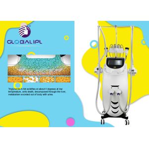 Buy cheap Cryolipolysis Body Slimming Machine / Cavitation Weight Loss Machine Fat Removal from wholesalers