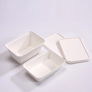 Microwavable Biodegradable Compostable Lunch Sugarcane Bagasse Box 450ml