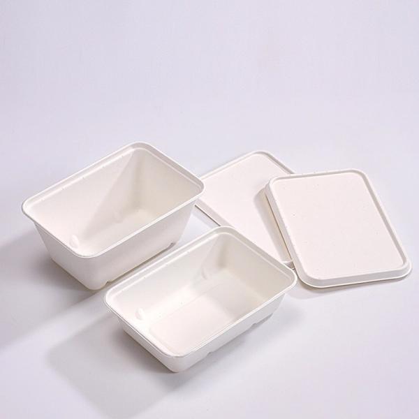 Microwavable Biodegradable Compostable Lunch Sugarcane Bagasse Box 450ml