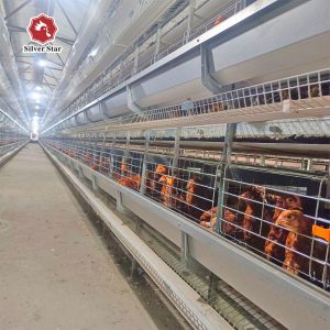 Buy cheap Durable & Labor-Saving: H-Type Fully Automatic Layer Cages for Modern Farms from wholesalers