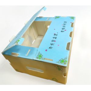 Reusable Vegetable Corrugated Boxes with Lockable Lid