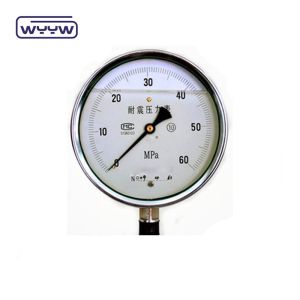 shock resistant back brass mount pressure gauge customized range