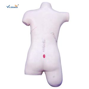 Surgical Suture And Bandaging PVC Human Torso Model
