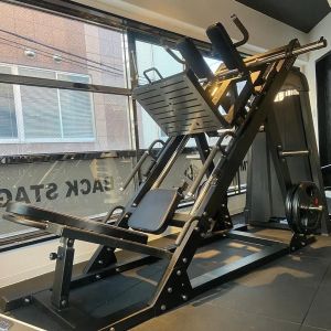 China Strength Training Gym Equipment 2 in 1 Dual Function Plate Loaded Hack Squat Leg Press Machine on sale