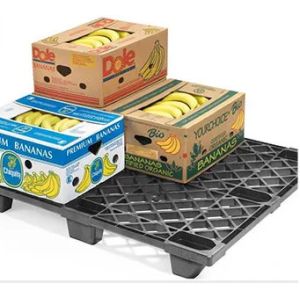 Hygienic EPP Logistic Shipping Plastic Pallets High Tenacity