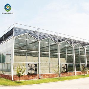 Buy cheap Wind Galvanized Steel 12m Multi Span Glass Greenhouse from wholesalers