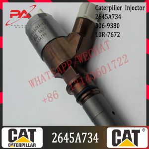 Common Rail Injector 3069380 C6.6 Engine Parts Fuel Injector 2645A734 306-9380