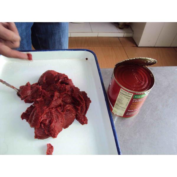 Buy cheap Canned Tomato Paste 70-400g Made from Fresh Ripe Tomatoes from wholesalers