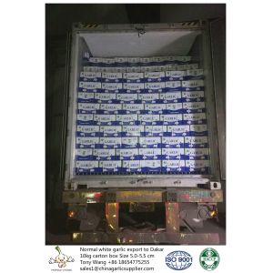 Buy cheap Garlic to Senegal from wholesalers