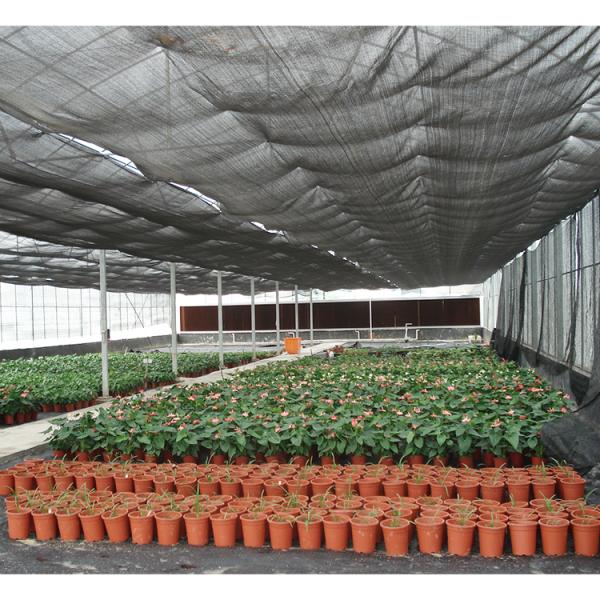 Buy cheap 10m Tunnel Width Multi Span Greenhouse Hot Zone Desertic Wind Resistance Greenhouse from wholesalers