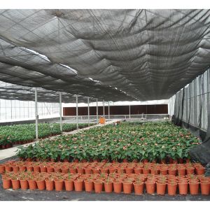 Buy cheap 10m Tunnel Width Multi Span Greenhouse Hot Zone Desertic Wind Resistance Greenhouse from wholesalers