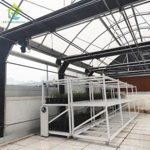 Buy cheap Automated Mushroom Growing Light Deprivation Blackout Agricultural Greenhouse from wholesalers
