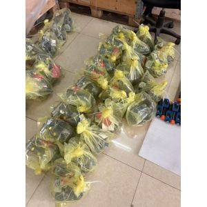 Buy cheap Rexroth A10VSO71 Hydraulic Pump Variable Axial Piston 350 Bar from wholesalers