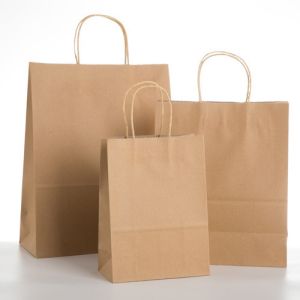 Custom Logo Printing Paper Bags With Handles Thickening Treatment