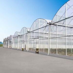 Buy cheap Agricultural Flowers Shading Multi Span Hot Dipped Galvanized Polycarbonate Greenhouse from wholesalers