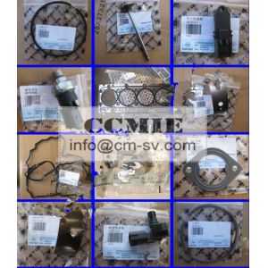 Buy cheap Genuine Foton truck engine piston ring E049303000032-3-4 from wholesalers