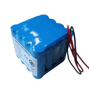 Buy cheap SGS Deep Cycle 4S6P 15Ah Electric Bicycle Lipo Battery Packs from wholesalers